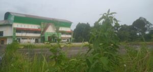 WhatsApp Image 2024-01-20 at 12.26.30