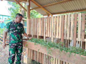 IMG-20240726-WA0034 IMG-20240726-WA0034