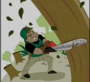 Screenshot_20241215-195848~2