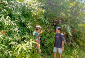 Screenshot_20250405-113036~2