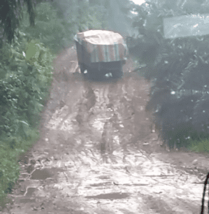 Screenshot_20250415-102108~3