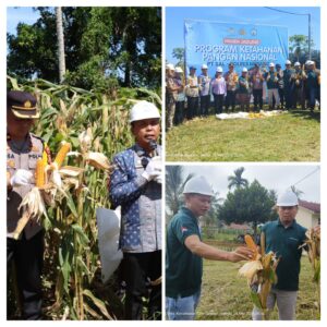 20250515_184251-COLLAGE