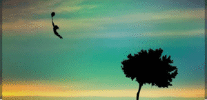 Screenshot_20250706-134209~2