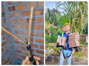 20250901_091530-COLLAGE