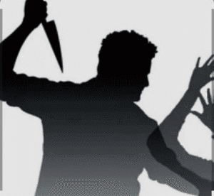 Screenshot_20250921-184533~2