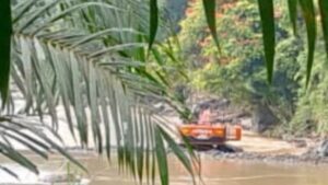 1000153943 1000153943